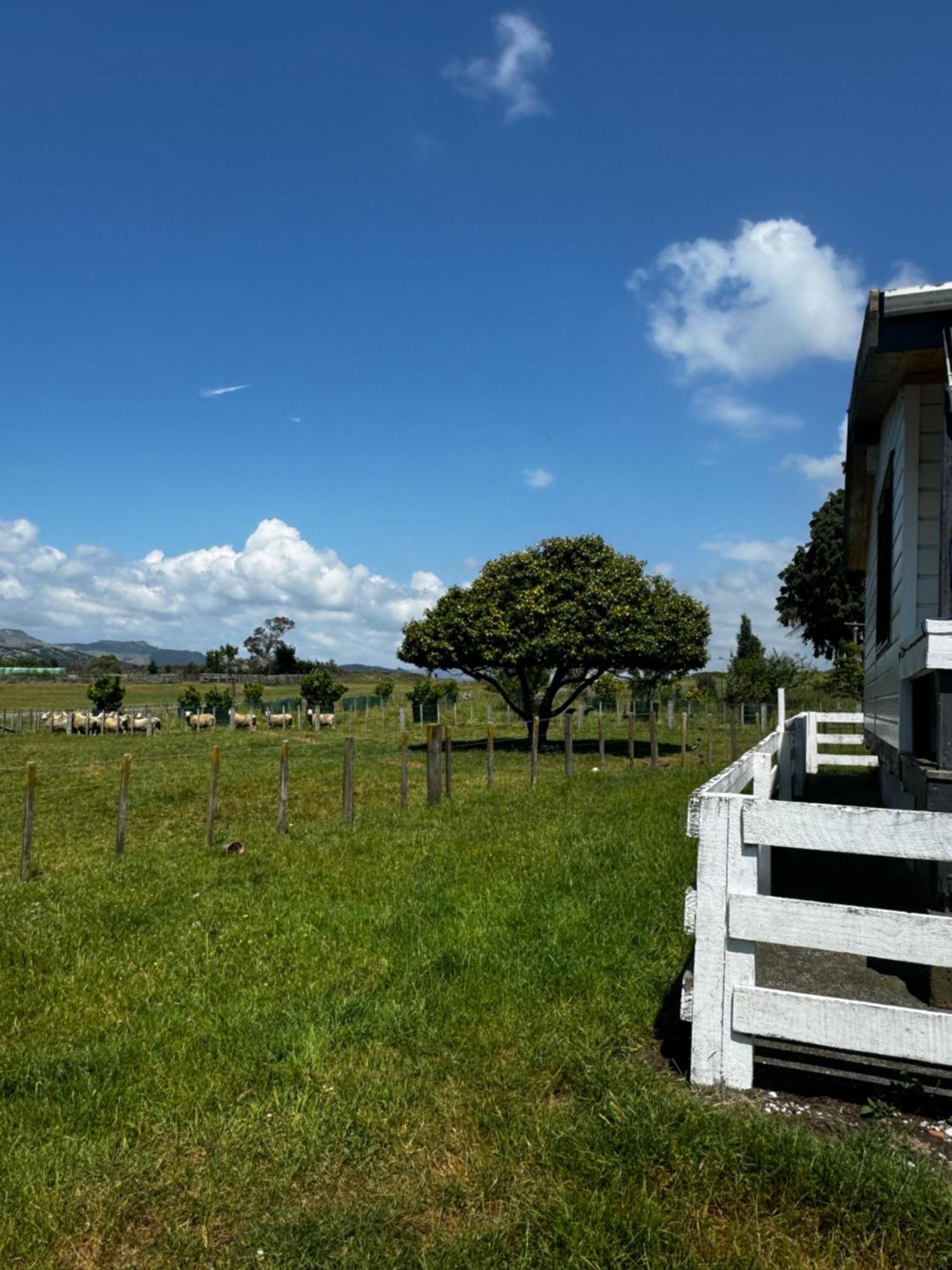 Putorino Lockwood Country House Retreat מראה חיצוני תמונה